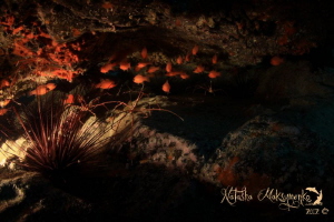 Inside a cave by Natasha Maksymenko 